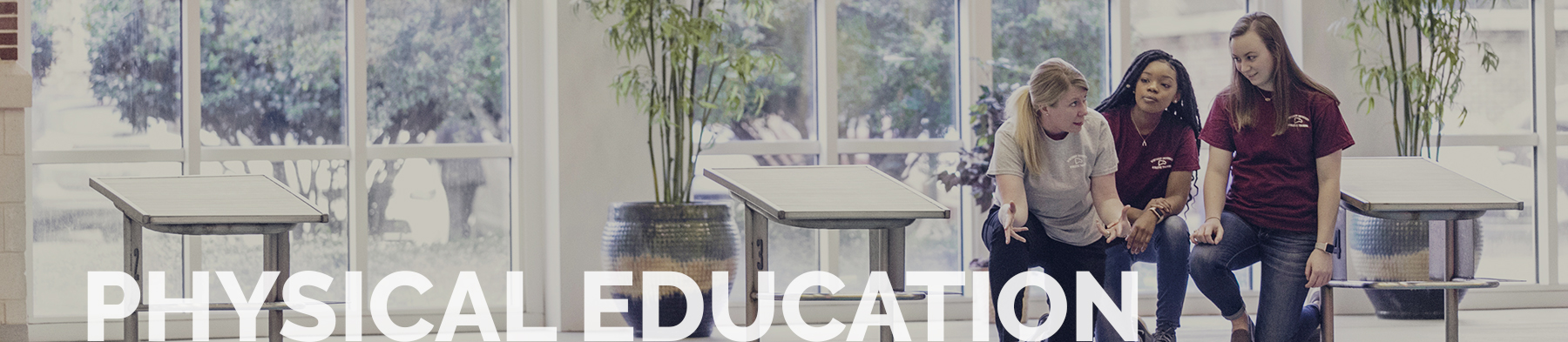 Decorative Physical Education Header