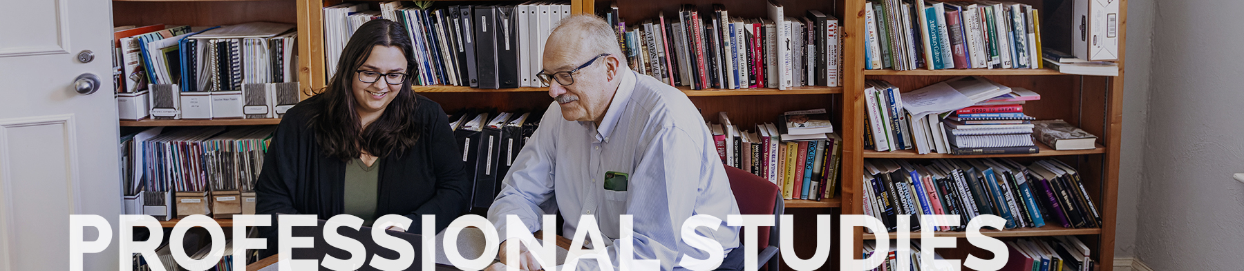 Decorative Professional Studies Header