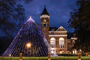 /uploadedImages/news/Articles/Christmas-Tree-2014-Image.gif