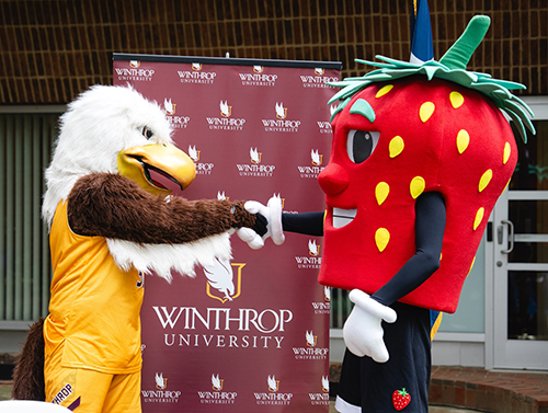 Big Stuff and the Town of Fort Mill's Strawberry (in honor of the Strawberry Festival) shake hands