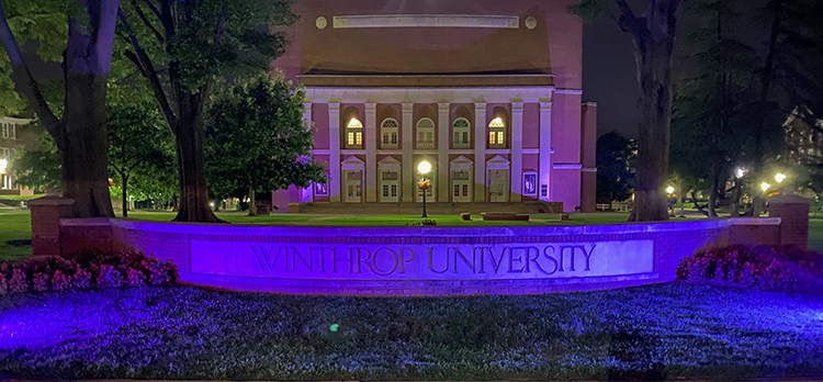 Light It Up Purple