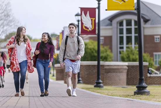 Scholars Walk