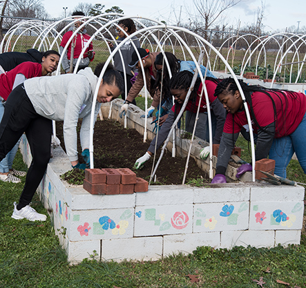 Martin Luther King Jr. community service