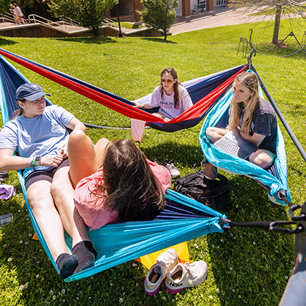 Students in Hammocks