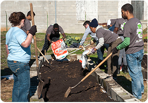 Community Service Community Service