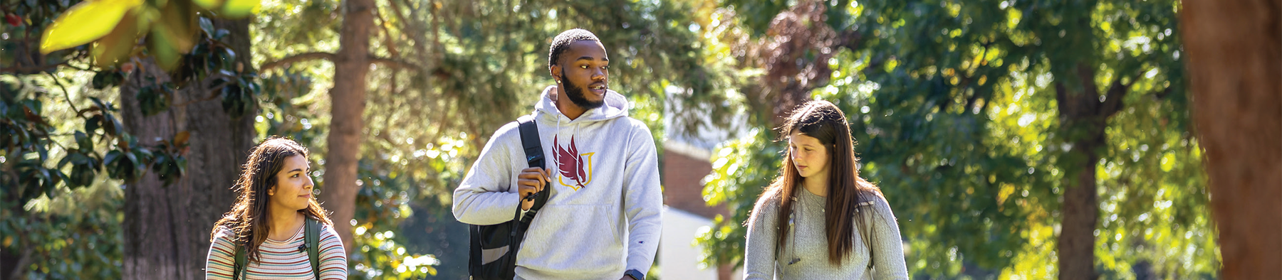 Three students walking and having conversation - cover/hero photo
