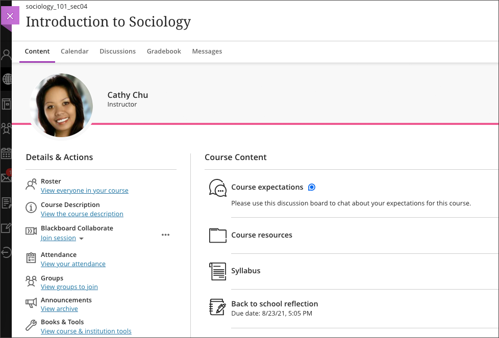 Example of Blackboard Ultra