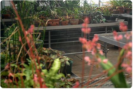 FAQ - Greenhouse FAQ - Greenhouse
