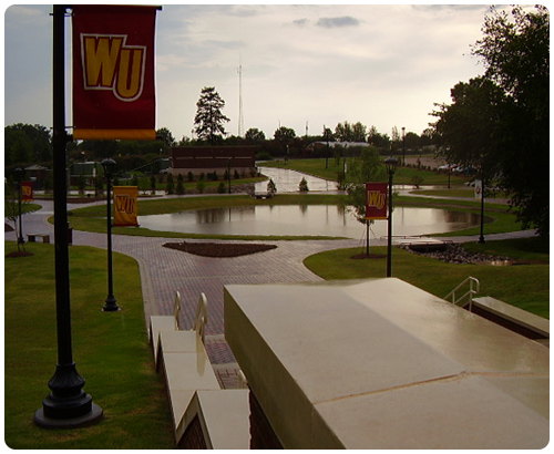 Water - Campus Green After Storm Water - Campus Green After Storm