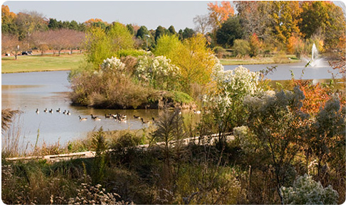 Wetlands Wetlands