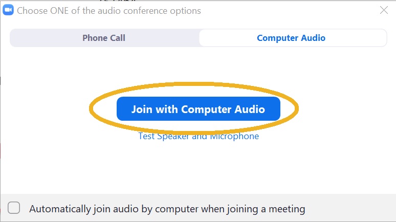 Start Zoom Meeting Web