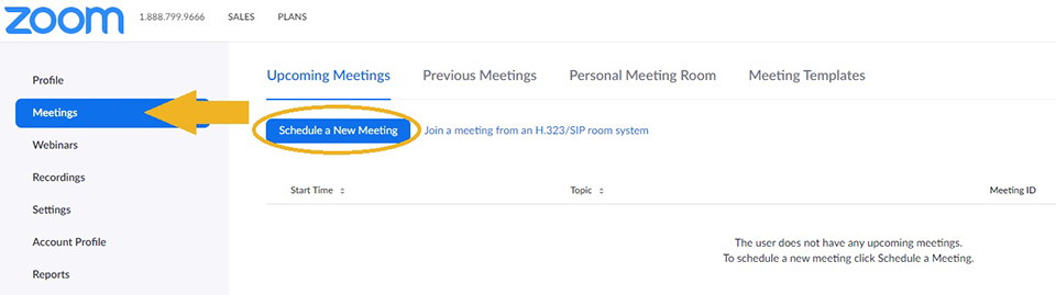 Zoom Office Hours