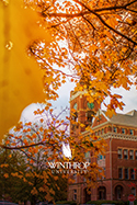 /uploadedImages/ucm/digital-swag/phone/PhoneBackground-96.jpg