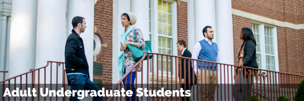 Adult Undergraduate 
